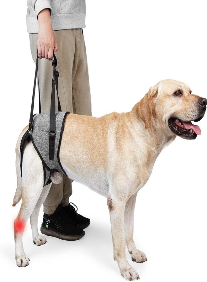 VINGVO Dog Sling for for Small Dogs Hind Leg Support, Dog Lift Harness for Back Legs Rehabilitation, Hip Brace Support Closure Adjustable Strap Large Elderly Dogs Lift Harness (S) - Image 1